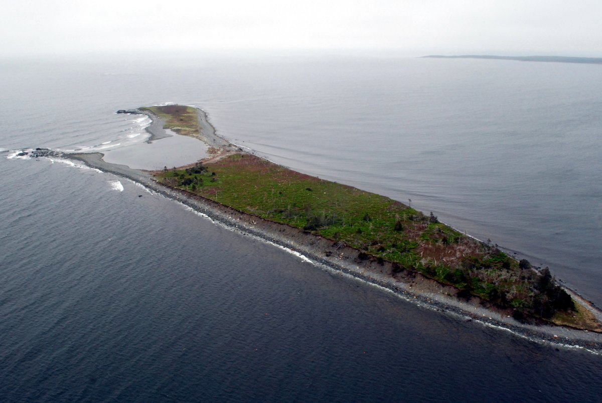 Tobacco Island, in Guysborough County, contains important coastal ecosystems & seabird colonies. It was first identified for protection in 1970's as an "International Biological Programme" site, but it's taken a half century to secure official protection. (  @ns_environment)