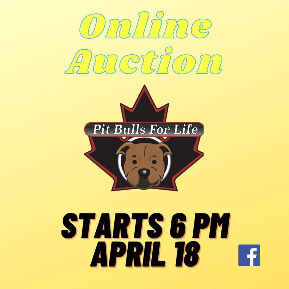 2021 Online Auction ON NOW

ending at 6pm April 25 (MST)

Head over the Facebook to start bidding!