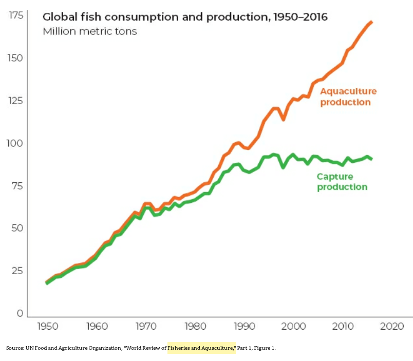 47/ "Global cereal yields and fish production have increased."People are eating more meat and consuming more milk products."Only 3 kg of cereals are needed to produce 1 kg of meat: 86% of global livestock feed intake consists of grasses and inedible crop residues." (p. 128)