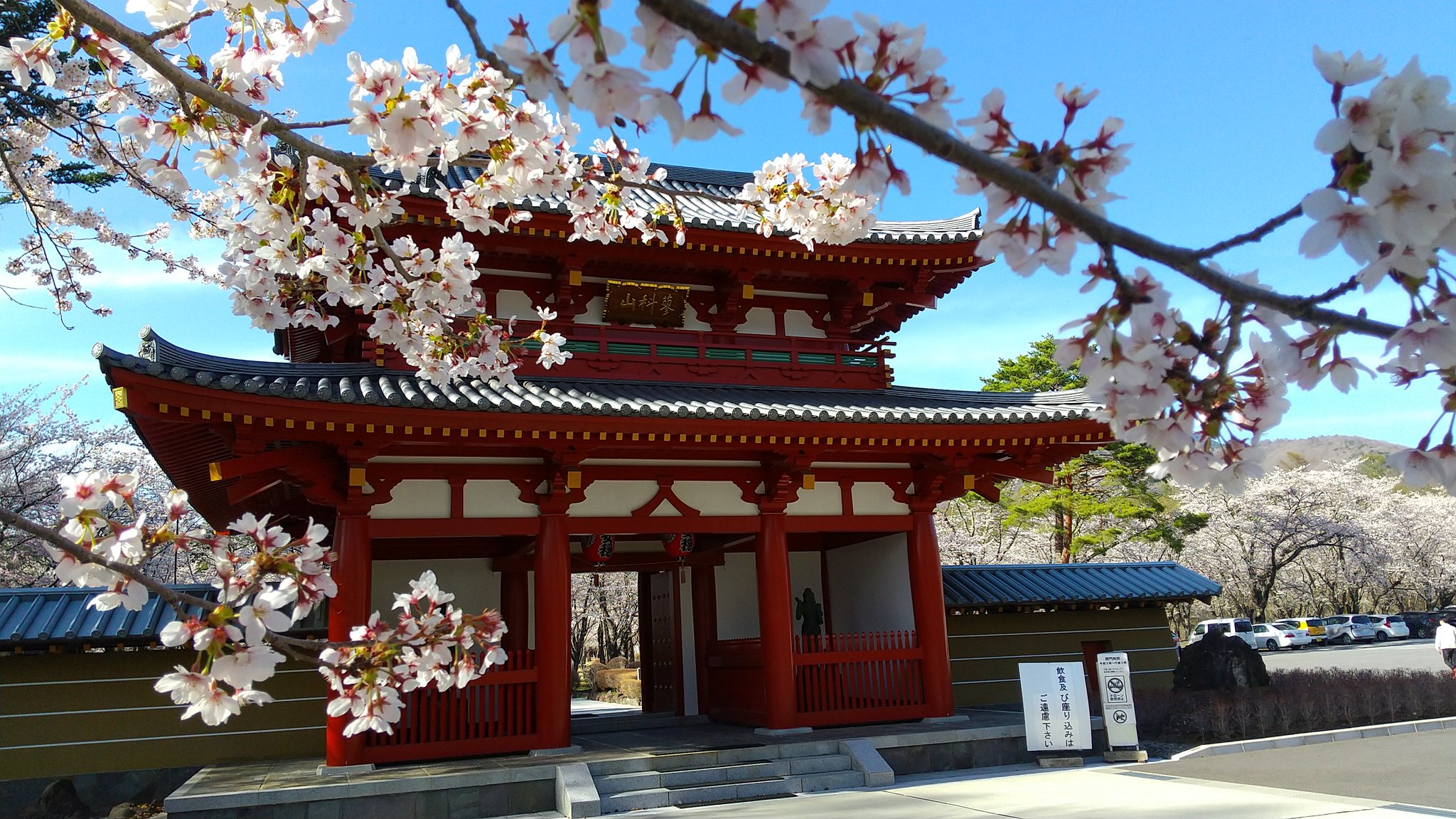 なからかな Shinsyu Suwa 茅野市蓼科の聖光寺の桜 が満開となっております 今年もキレイ 聖光寺 蓼科 茅野市 桜 しあわせ信州 T Co 8w57nalfxz Twitter