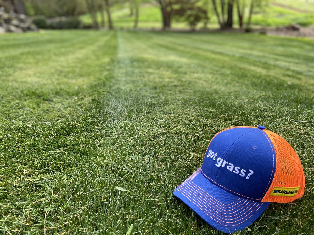 UKTURFROCKS's tweet image. #turfnerd #plantalegacy #gotgrass