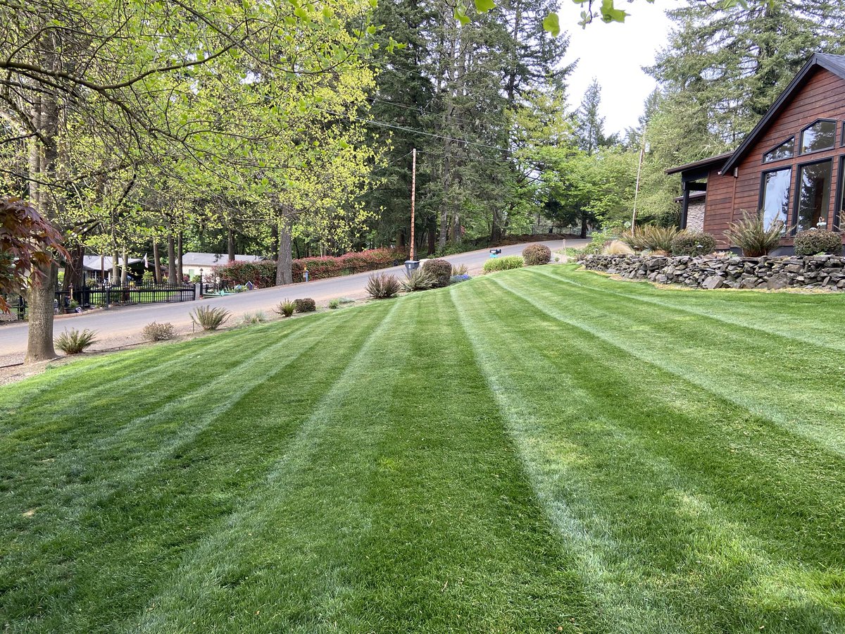 UKTURFROCKS's tweet image. #turfnerd #plantalegacy #gotgrass