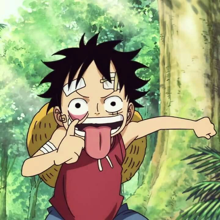 Um Pedaço on X: Mugiwaras Fotogênicos - Uma Thread Aesthetic Luffy  Aesthetic  / X