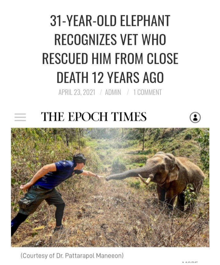 plotstation's tweet image. 