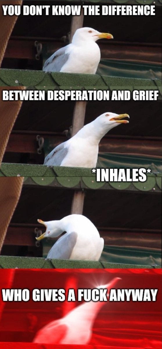 jeremysobocan's tweet image. Me in the car absolutely screaming to @downstreamca