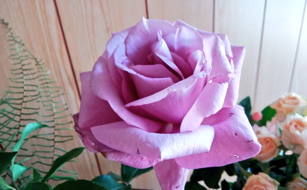 シャルル ド ゴール Recherche Sur Twitter