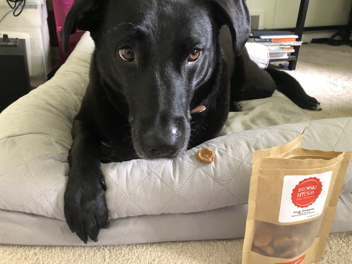 Everybody say hello to Macy 👋 This very good girl just got a fresh shipment and we hear she’s loving them. #BrewskiBites