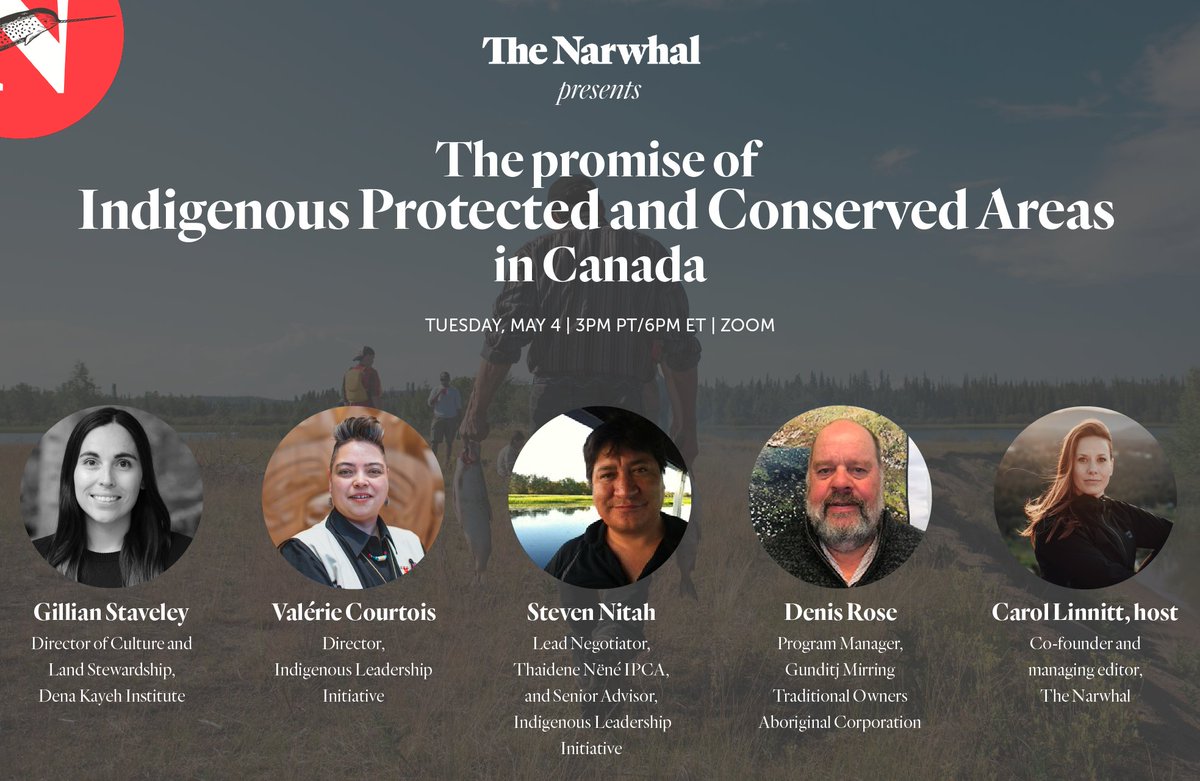 Stacked panel alert! Join The Narwhal as we dive into how Indigenous-led conservation has a critical role to play if Canada wants to follow through on its climate and biodiversity promises.

@GillianStaveley <a href="/StevenNitah/">Steven Nitah</a> @valeriecourtois

RSVP HERE: thenarwhal.ca/ipca-zoom
