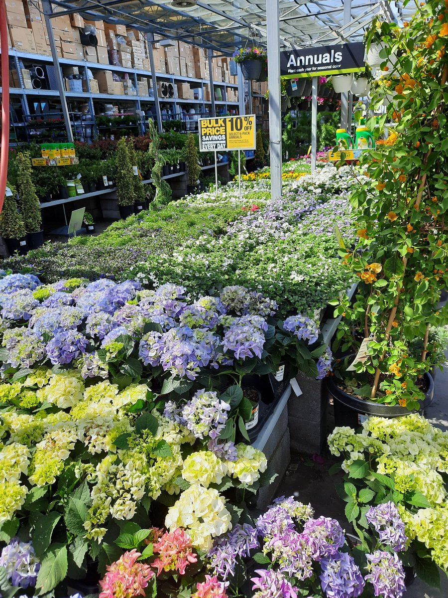 MCDarronTHD tweet media