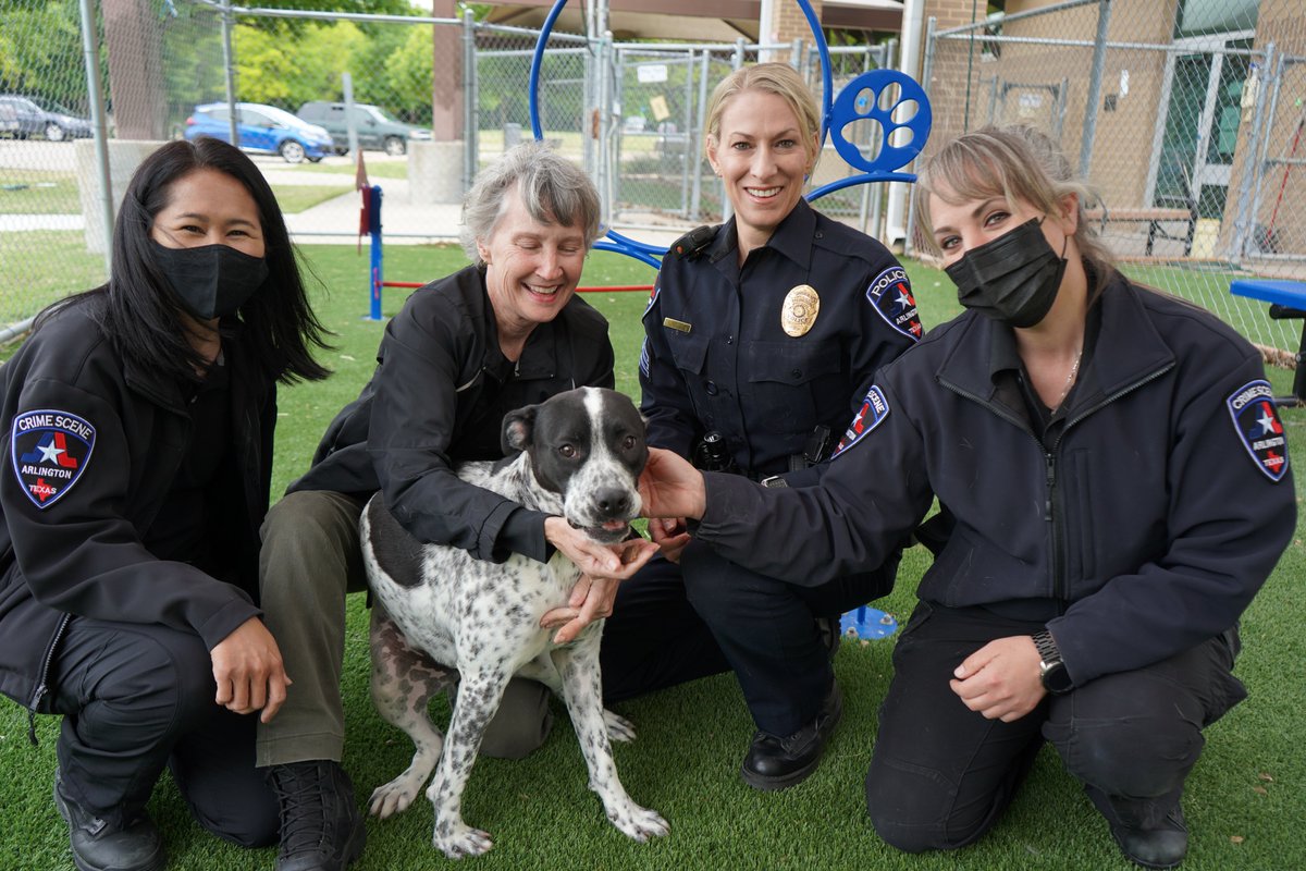 Arlington Police Tx It S Fureverfriday Time Y All Here Are Several Members Of Our Outstanding Crime Scene Unit And Today They D Like You Meet Their New Pal Chanel A 1 Year Old