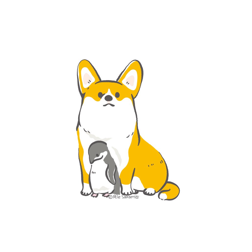 コーギーのお腹でもふもふするハネジロペンギン 9 14 Corgi コーギ サカモトリエ イラストレーターのイラスト