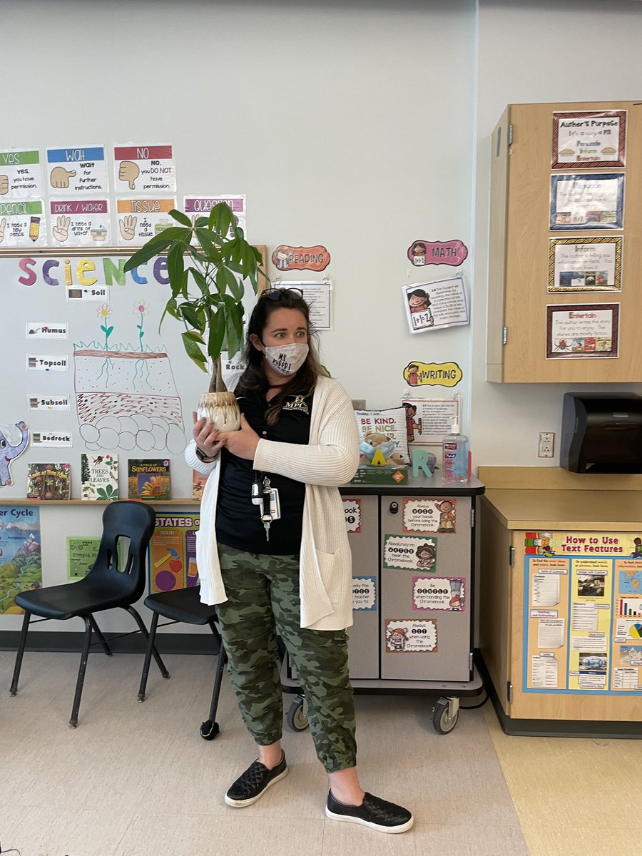 MrsBissler's tweet image. Thanks to @Miss_Heflin and @ms_kbruin I was able to share my passion for #plants with some amazing #3rdGraders! We talked about #spiderplants #moneytrees #pileas and #succulents! Creating some #plantparents!