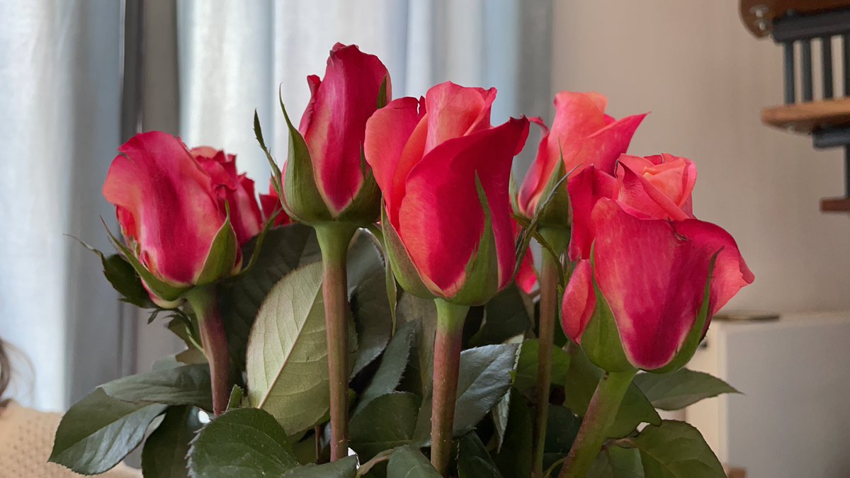 Vanaf maandag gaan we met Holland Hortimedia fullpower in de zoektocht naar aanmeldingen voor de HortiContact Gorinchem Innovation Award 2021 op Goedemorgen Nieuws, Paprika Tasty Radio en Hortibiz Daily.
.
<a href="/PaprikaNL/">Hortibiz Newsradio</a> <a href="/HortiContact/">HortiContact</a> <a href="/Goedemorgen_G/">Goedemorgen Groenten</a> <a href="/Goedemorgen_G/">Goedemorgen Groenten</a> <a href="/mauricewubben/">Maurice Wubben</a>