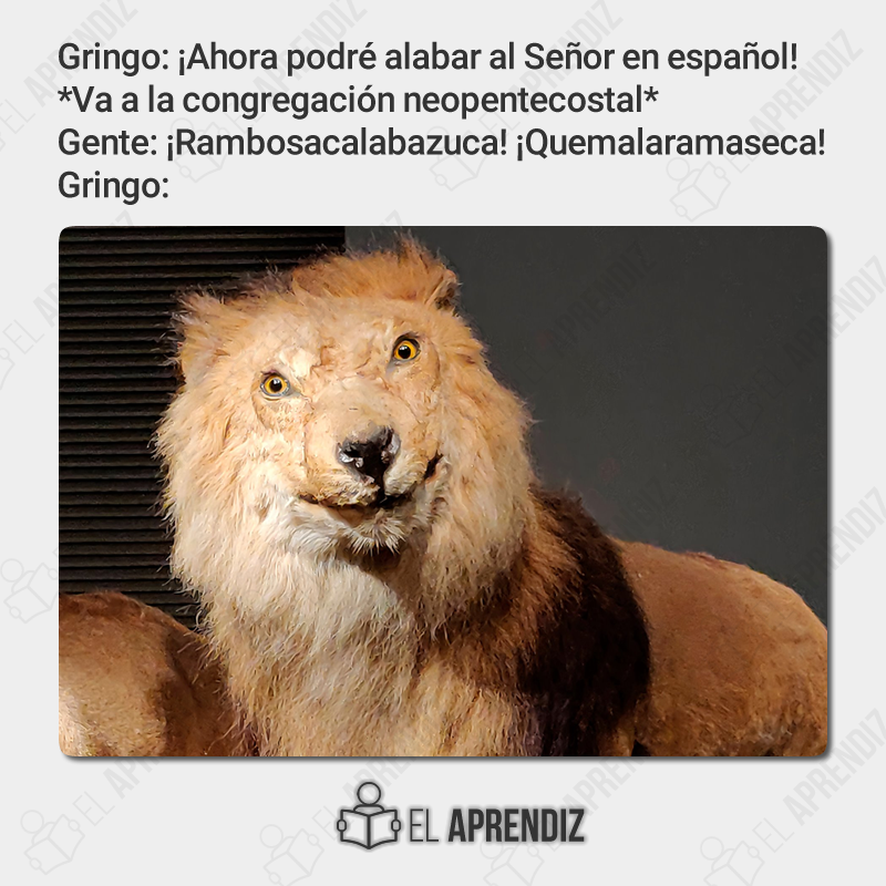 AprendizBiblico's tweet photo. #Memesterio | ¡Y tanto que le costó aprender español al hermano gringo! Pero creo que olvidó aprender lo más importante: Ir a una congregación de sana doctrina. https://t.co/5zxSj1EFDi