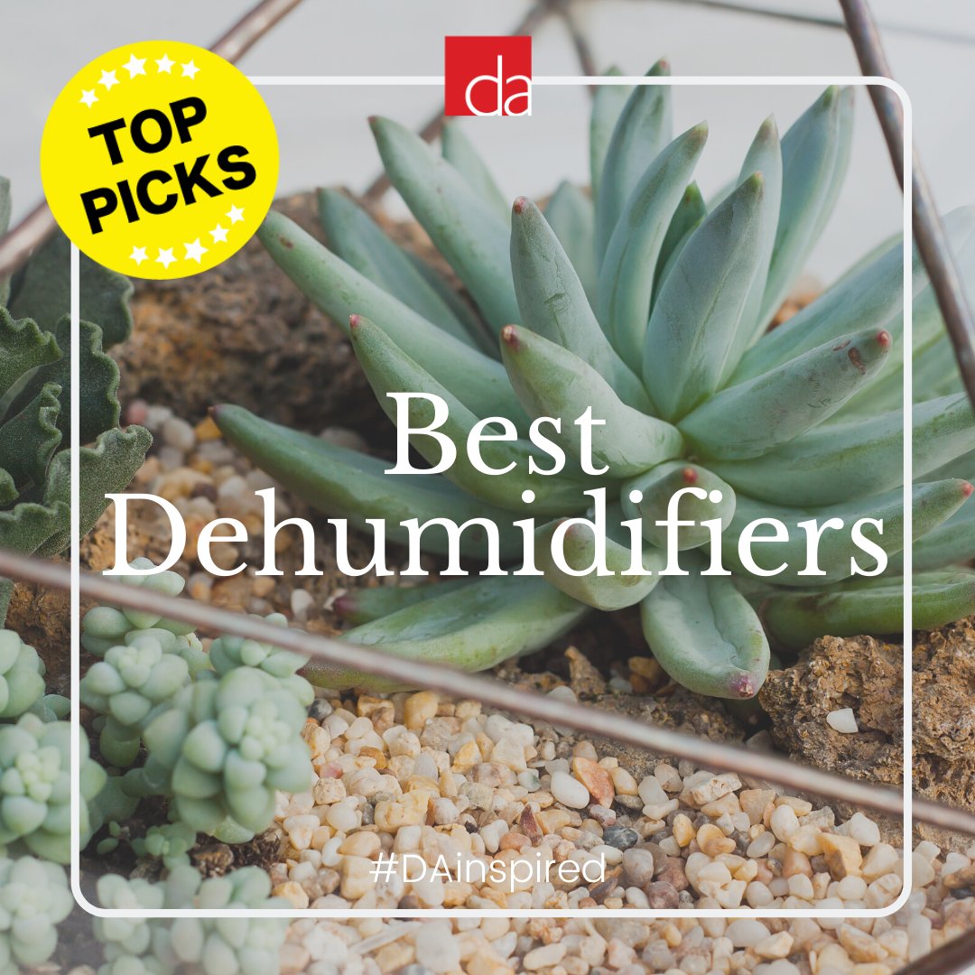 Easily win the battle against moisture, mold, and mildew with these top dehumidifiers ➡️  ow.ly/o4o150EwrL8 #DAinspired