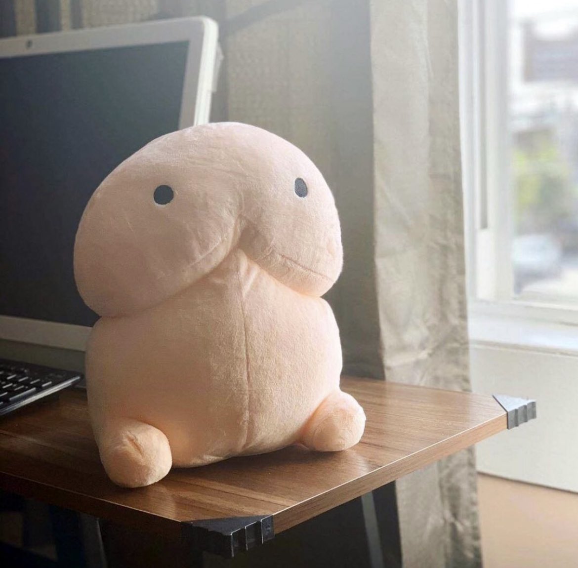 Ok y’all go get this plushie it’s cute!!!!  https://squishplushies.com/products/peepee-plushie