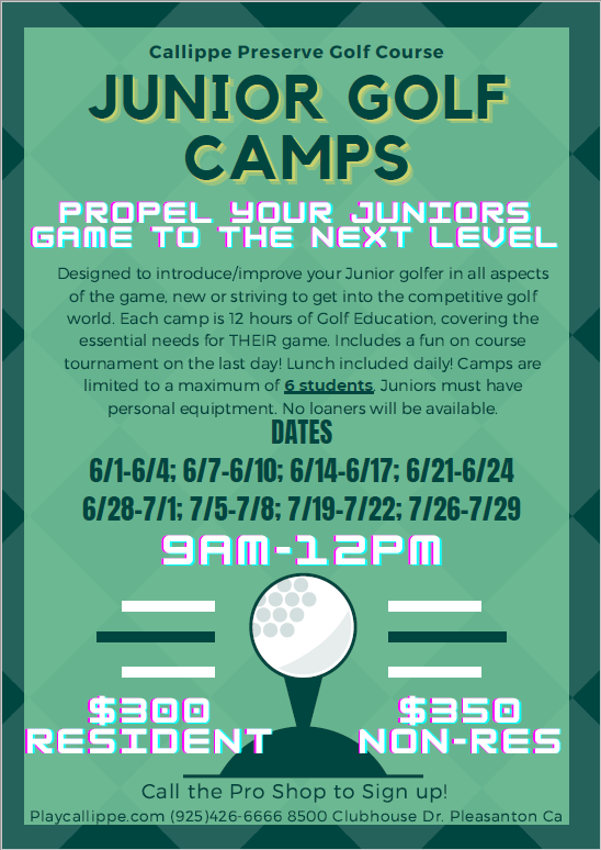 Callippe Preserve tweet media