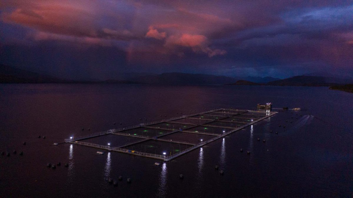 Una clásica postal nocturna que nos dejan nuestros centros de cultivo en la Región de #Aysén ✨