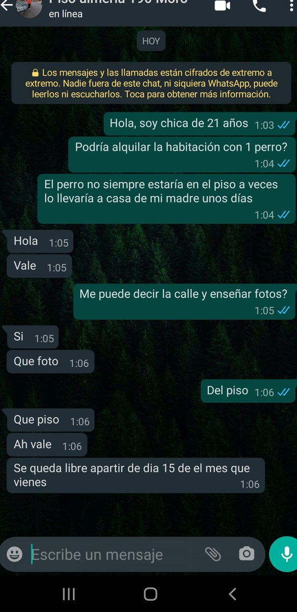 interesteIIarr's tweet photo. Que foto

Que piso https://t.co/EcRSmq9WkL