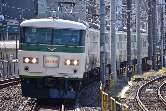 大藤 号 まつり が あしか