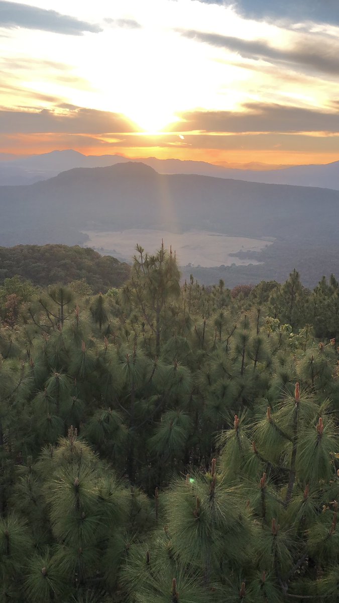 rickisRun's tweet photo. @MichelPesquera El volcán de Colima, bosque de la primavera en Jalisco y cerro del Mono, Nayarit https://t.co/PVmRlnUAUs