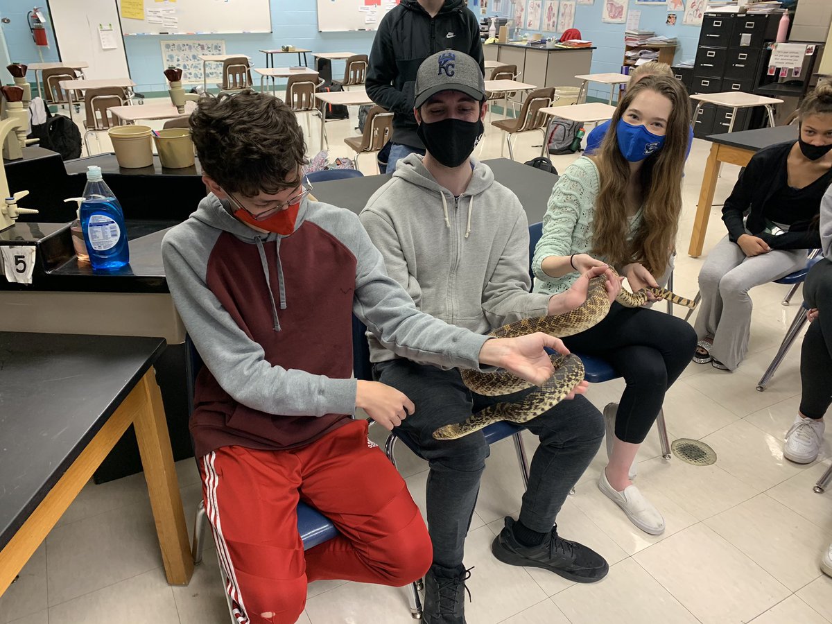 Maria Knowles tweet media