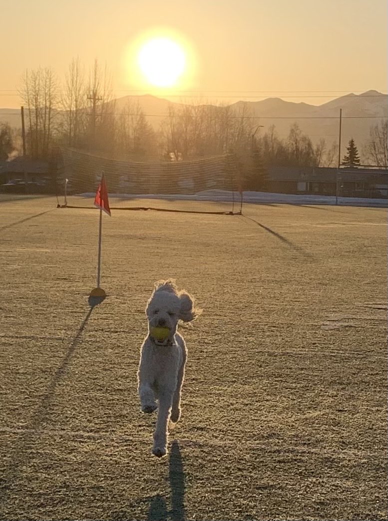 A beautiful morning at Dimond!!  Scooter is ready for soccer and spike ball!!!