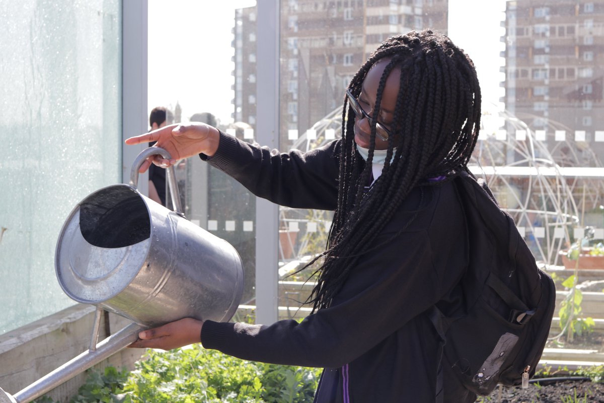 Indoors --> Outdoors. 
Year 7 putting seedlings where they belong!
#uaehappyfarm @UAESouthBank #ukedchat #gardening