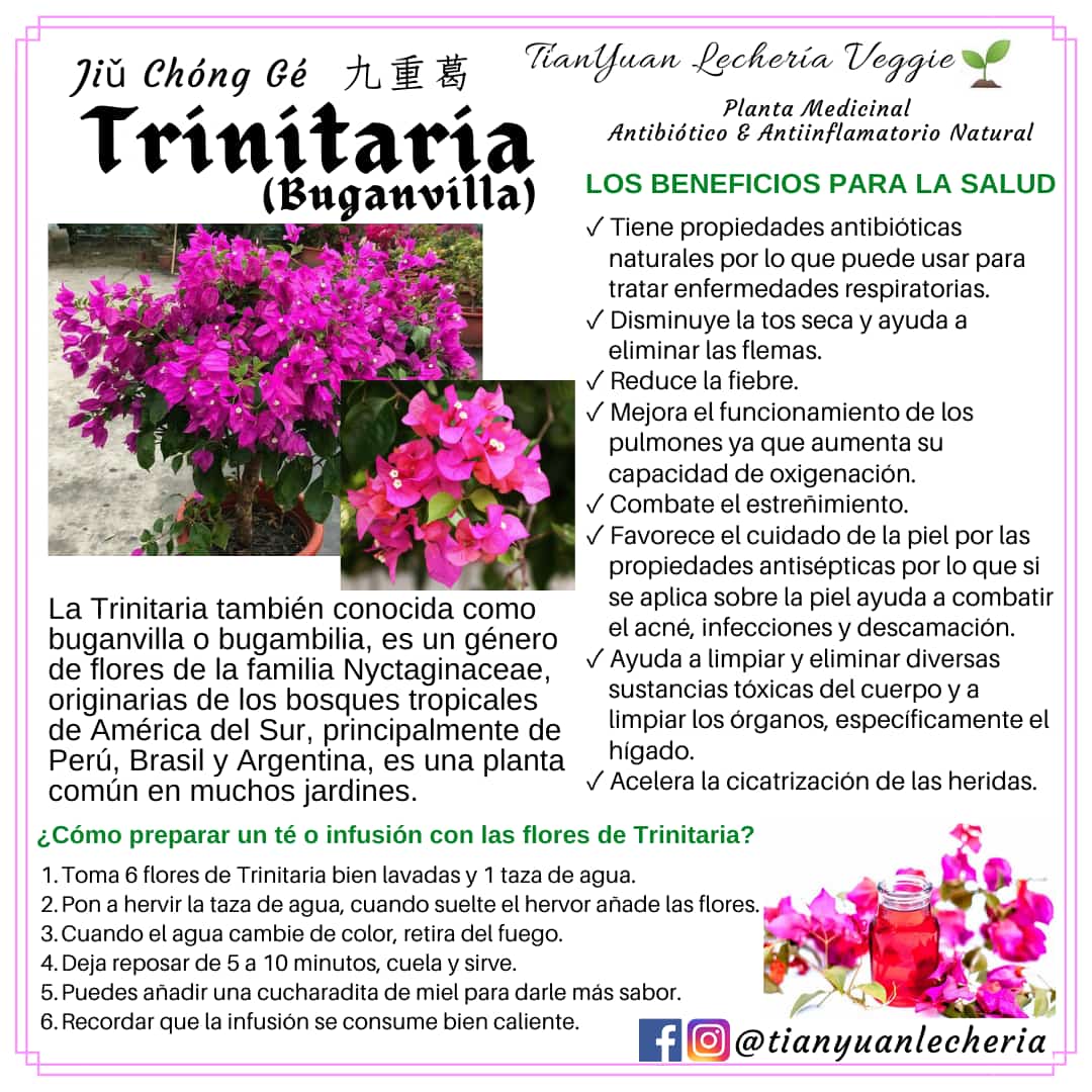 alvarorivas51's tweet photo. @GracianDr su comentario por favor https://t.co/HxCjYOwddB