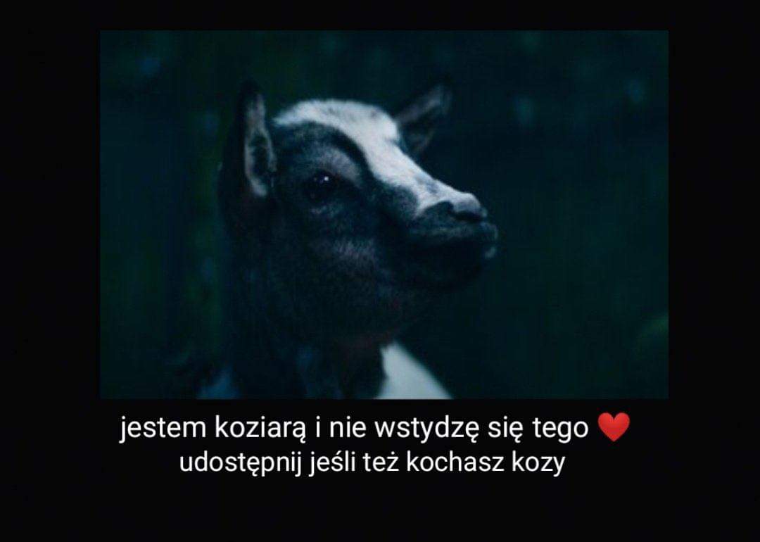 tamarkirbataar1's tweet photo. https://t.co/w6leyNxZhx