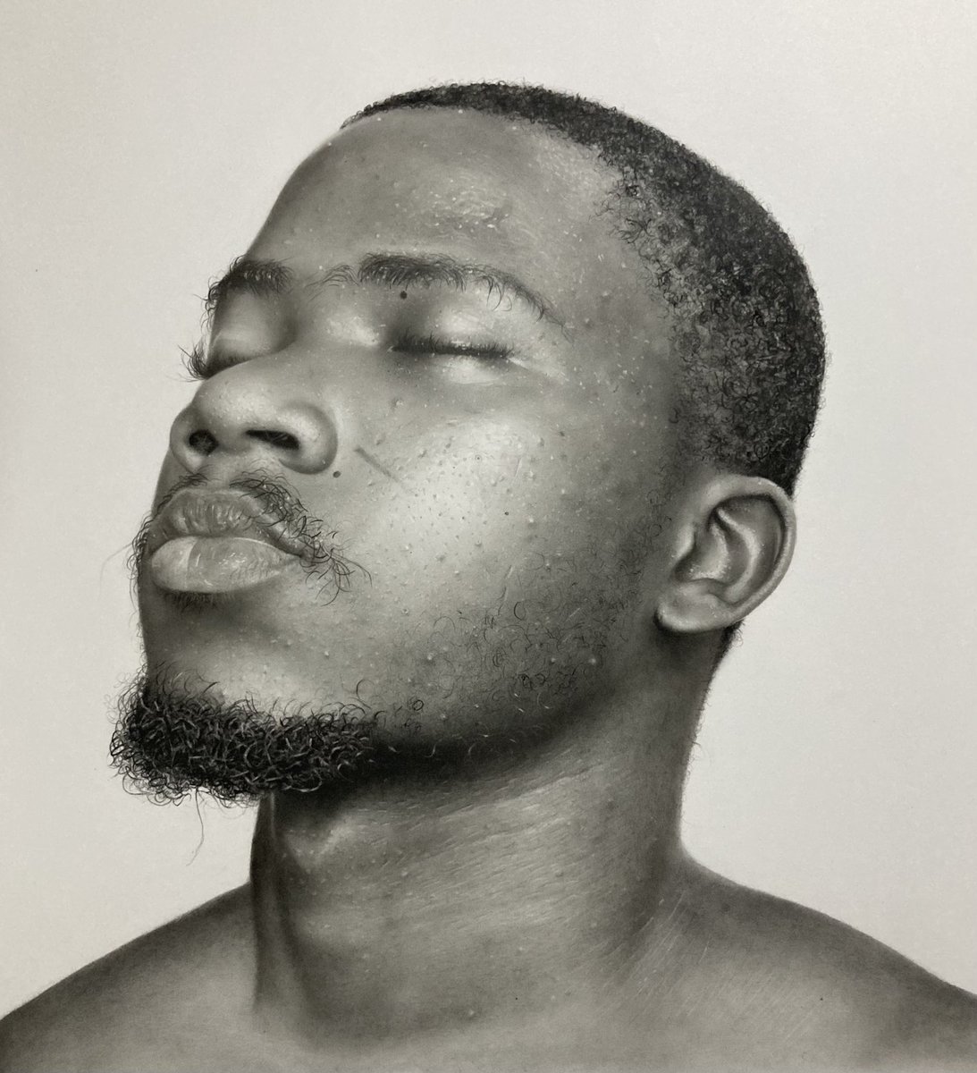 This is not a photograph.
Complete drawing of my current artwork 
Title: Nii