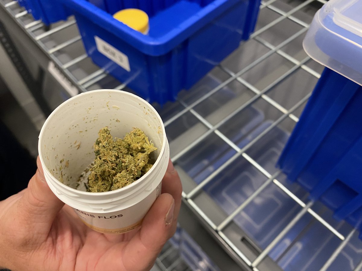 Here’s one full shipment of  #cannabis from the Netherlands: it’s two containers — one of flower and one that’s already been ground. I was like “...that’s it? That’s the whole shipment” A lot of work went into getting these two containers to the US for scientific analysis.