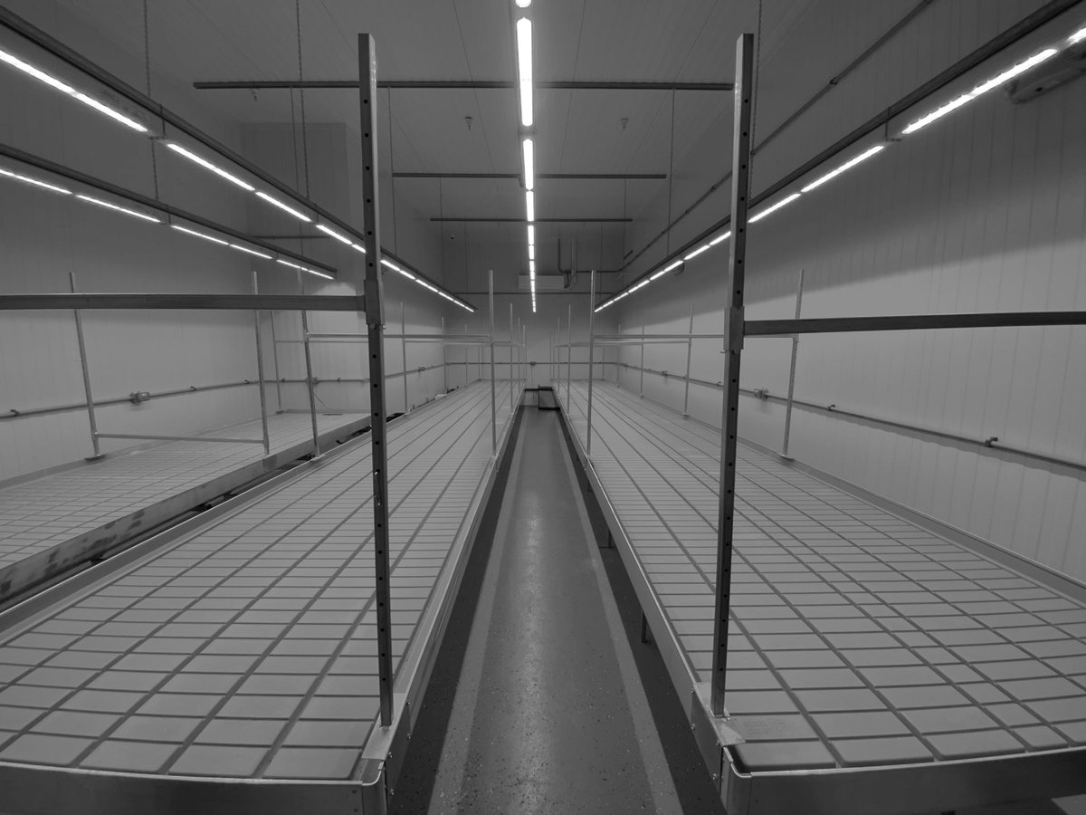 These 2 empty grow rooms are why this lab has imported cannabis from out of the country: the DEA has been sitting on research cultivation license apps for 4 years, and so researchers can’t grow their own. (In black and white because the grow lights make the rooms bright pink)