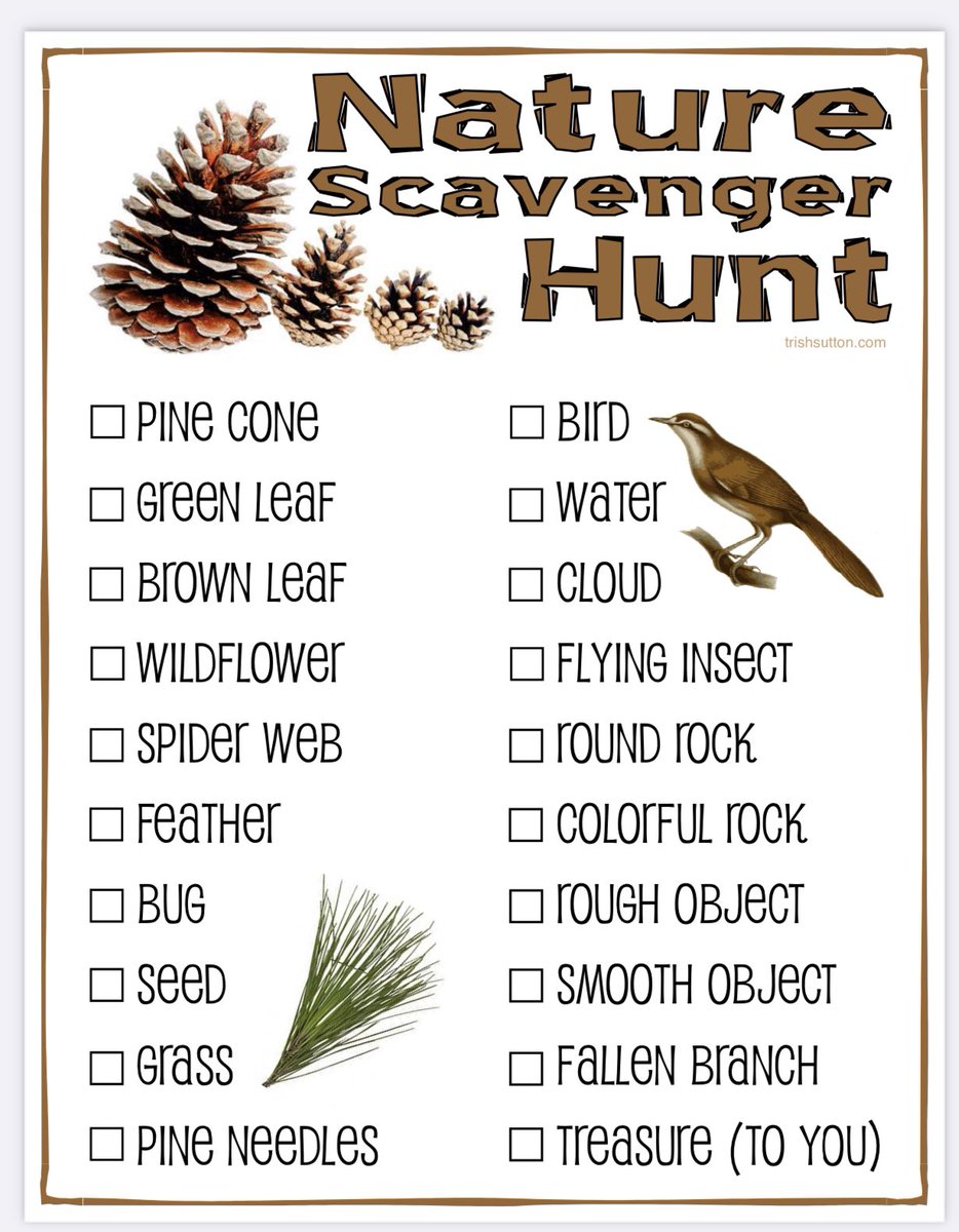 KatlinStrand's tweet photo. For Forest Friday we went on a nature scavenger hunt along the Sheep River. Students were able to find everything on the list except for wildflowers 🌲 
@bigrockbadger @fsd38 #grade3 #forestfriday https://t.co/Tf40D03QWW