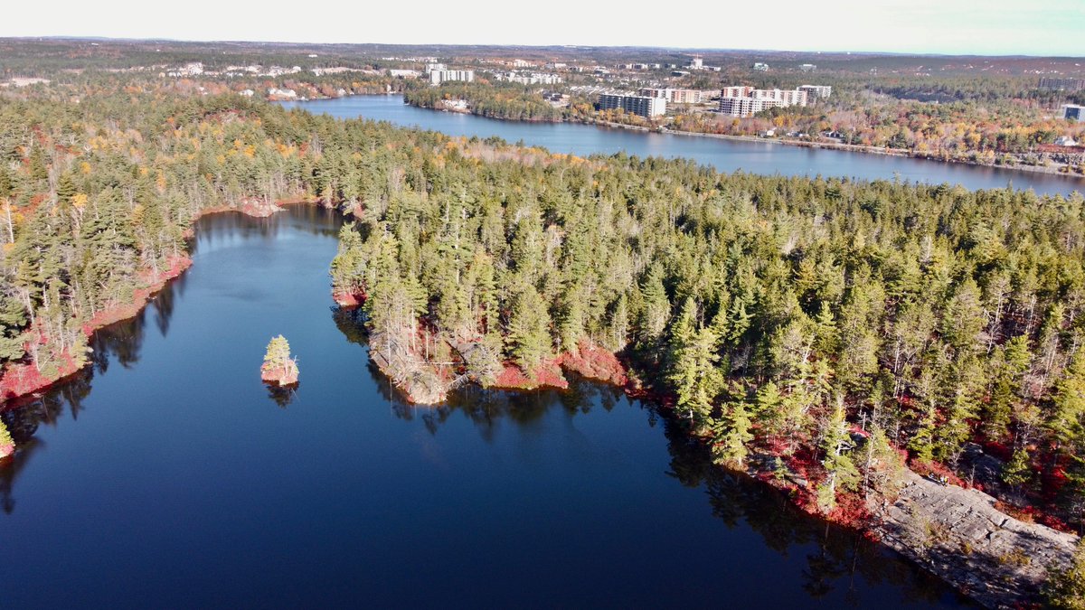 Blue Mountain-Birch Cove Lakes Wilderness Area will be expanded at a key access point near Kearney Lake. This near-urban wilderness in Halifax is an absolute gem and really should be a National Urban Park.