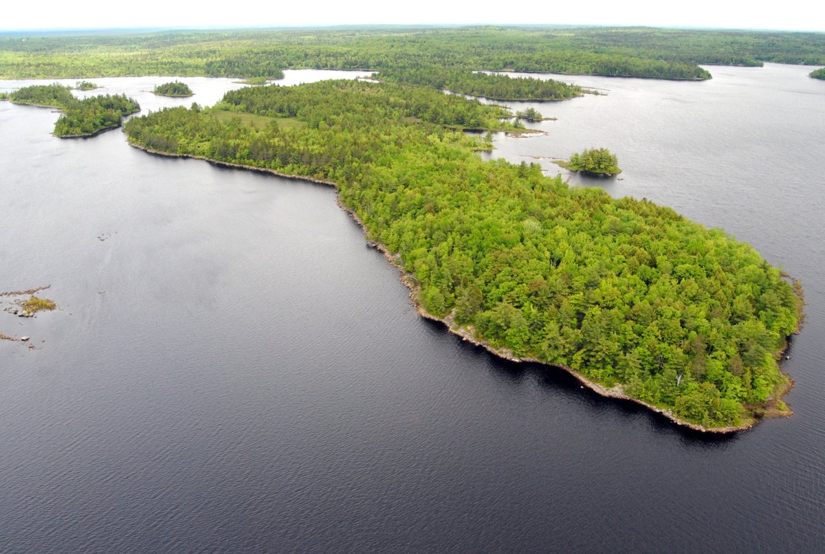 Ponhook Lake Nature Reserve in Kespukwitk contains some of the rarest plants in Canada and is a well-known biodiversity hotspot. (  @ns_environment )