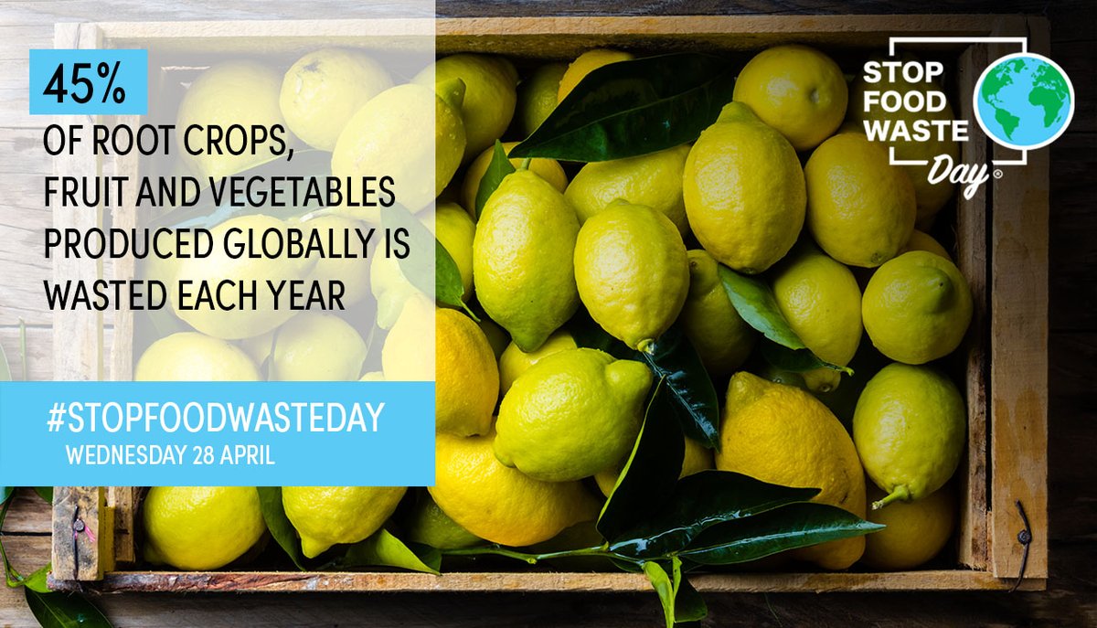 Food waste is central to key challenges facing the world today, including hunger & poverty, climate change and the sustainability of agriculture & oceans. According to a UN report, household food waste in India is about 68.7 million tonnes a year
#StopFoodWasteDay #FightFoodWaste