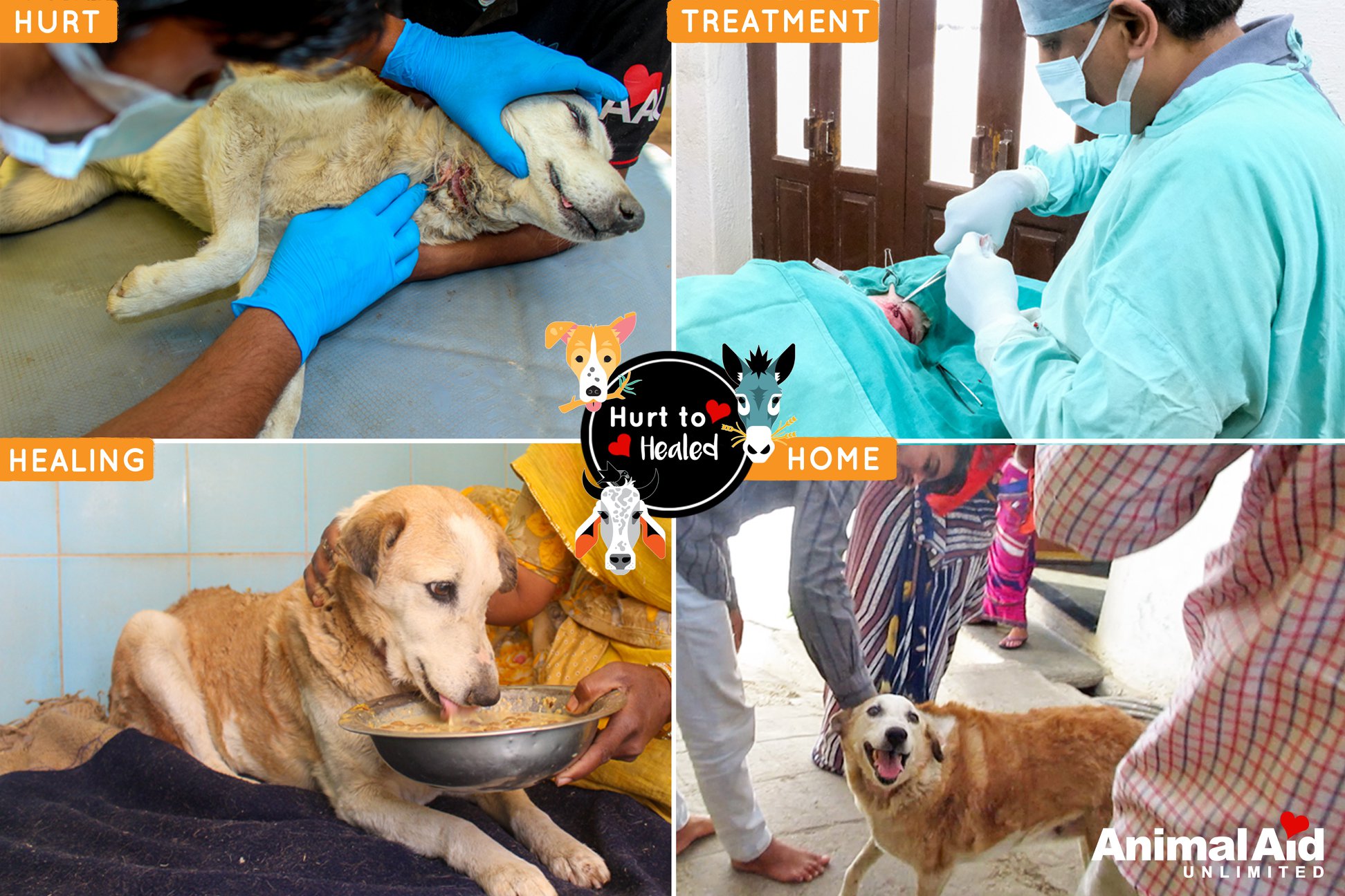 Animal Aid Unlimited on Twitter: Animal Aid Unlimited on Twitter: