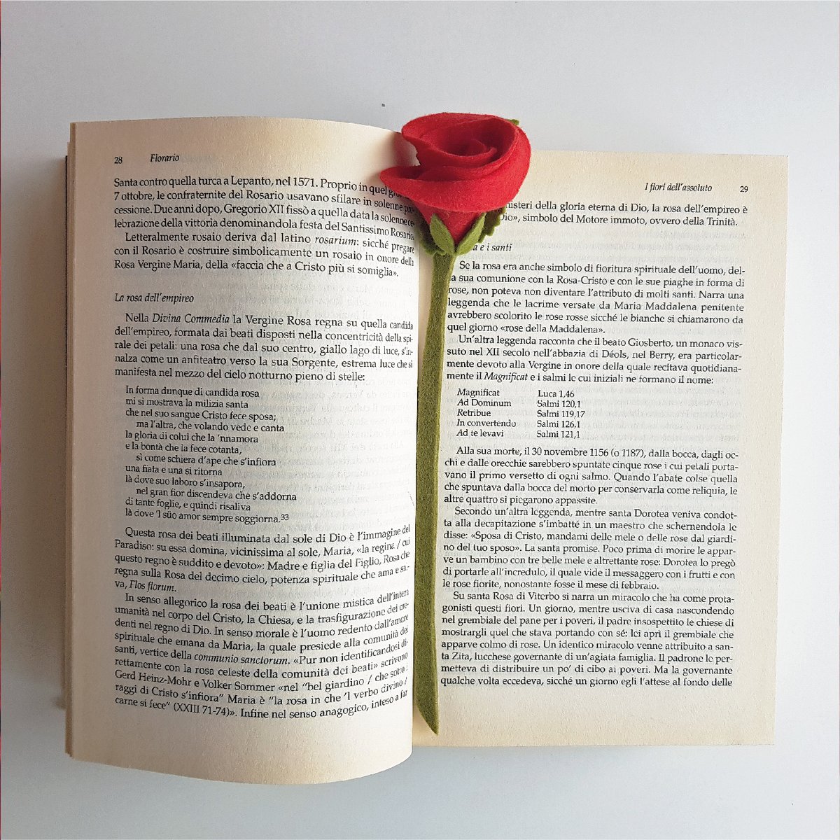 Il 23 aprile in Catalogna si celebra 𝑺𝒂𝒏𝒕 𝑱𝒐𝒓𝒅𝒊 e le coppie si scambiano regali: la tradizione vuole che gli uomini ricevano un libro e le donne una rosa, ma in molti si regalano sia libri che rose. #ilfiorepoeta #SantJordi #SantJordi21 #cultura #romanticismo #rosarossa