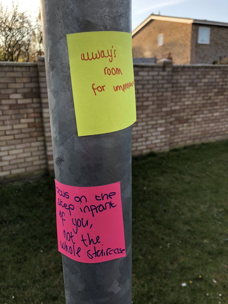 McindoeSue's tweet photo. Huge Thanks to whoever did this in #Putnoe. You doubled the length of my early morning stroll just looking for these! https://t.co/QGRQ6ZRwav