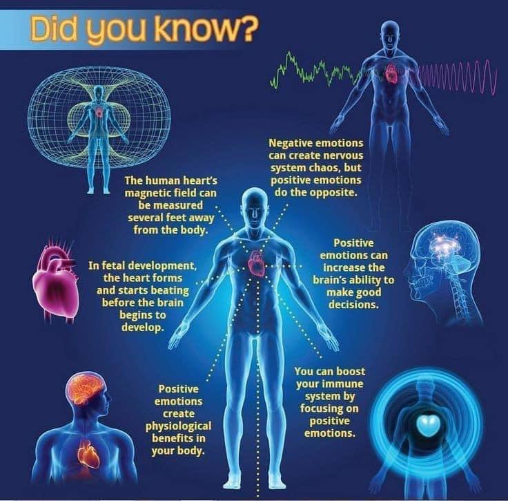 MorphyDotX's tweet photo. In case you STILL haven't clued in yet: There is a WAR on HUMANITY'S COLLECTIVE CONSCIOUSNESS raging right now. If you don't notice it, it's 'cuz you're still heavily brainwashed. Stop living in fear. Rise Through UNIVERSAL LOVE.
#ActivatePinealGland #ThirdEyeVision #TurnOffTV https://t.co/gDgqdvgS8y