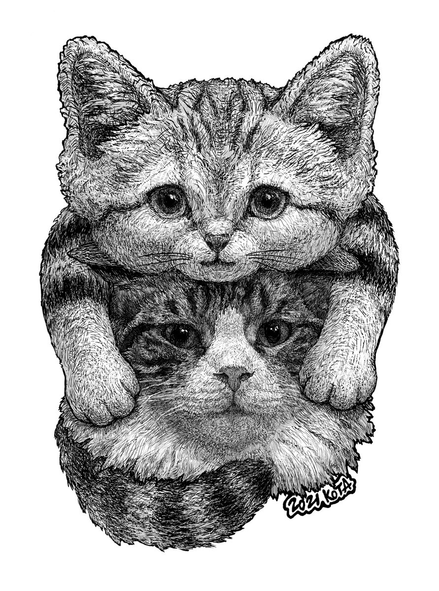 新作完成しました!!
「スナネコに憧れる猫」

ぜひご覧下さい!! m(_ _)m

#西浦康太 #kota_nishiura  #スナネコ #ノルウェージャンフォレストキャット #Norwegian_Forest_Cat #猫 #ねこ #cat #制作過程 #動物 #animal #作品 #アート #art #artwork #Artist 
