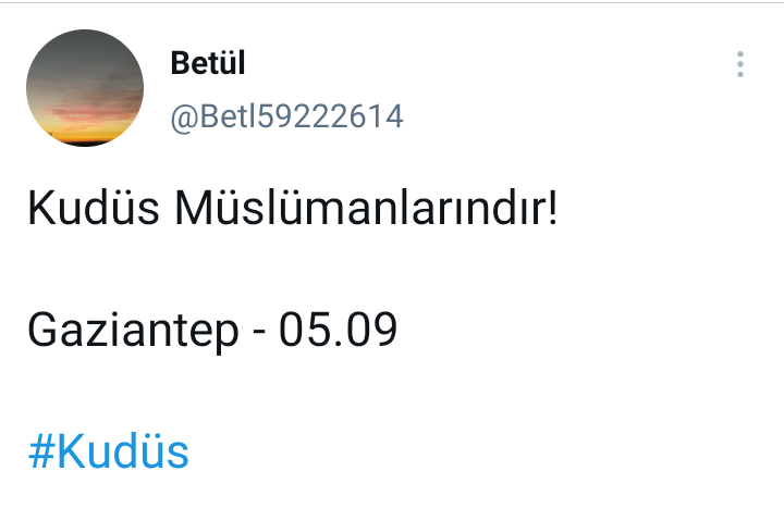 #Kudüs
Kudüs Müslümanlarındır

İstanbul 05.12