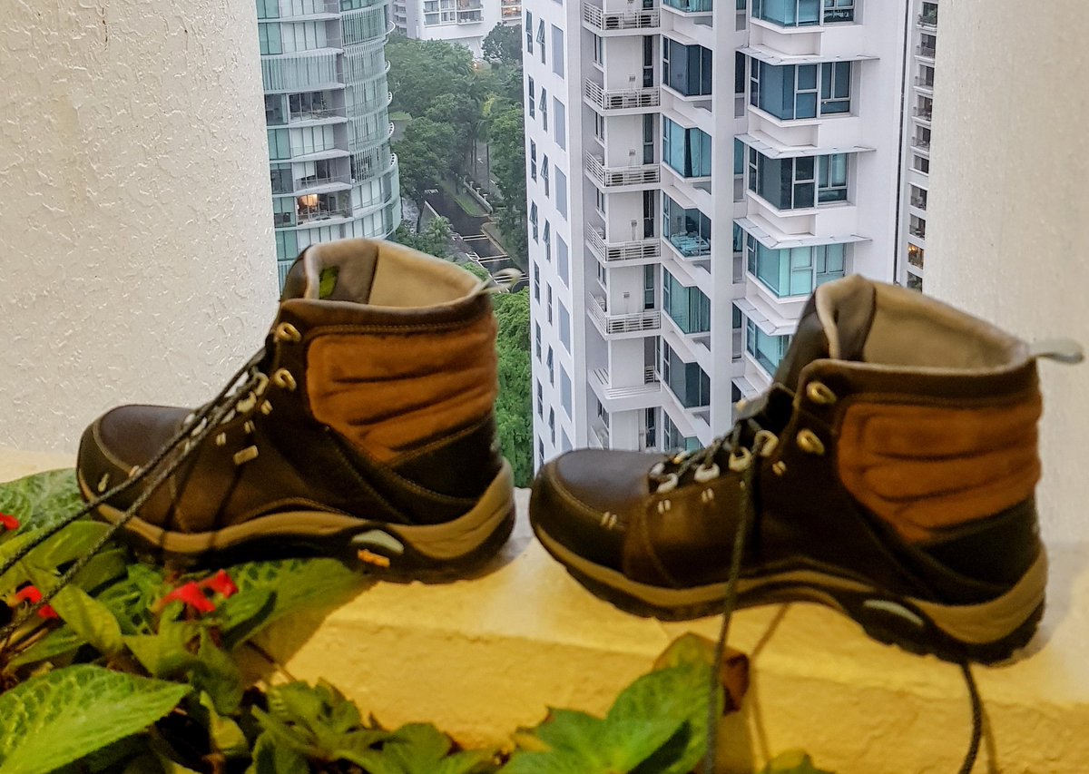 Taking a walk when it's raining cats and dogs? Here is an idea 💡  ... the gortex hiking boots! They worked beautifully.. and you can use them at least a few times a year living in Singapore 😌