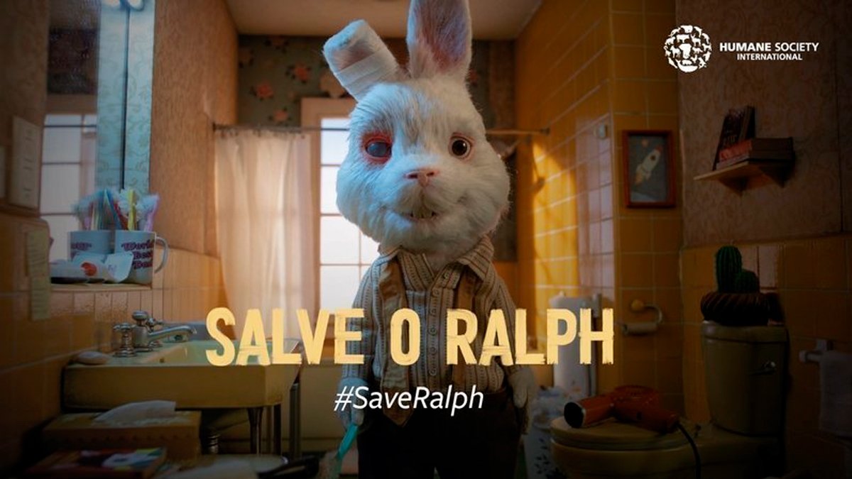 sustyle_'s tweet photo. #salveralph | #RalphRabbit |
"A grandeza de uma nação e seu progresso moral podem ser julgados pela forma como seus animais são tratados."

•Mahatma Gandhi https://t.co/MTQEpcePXt