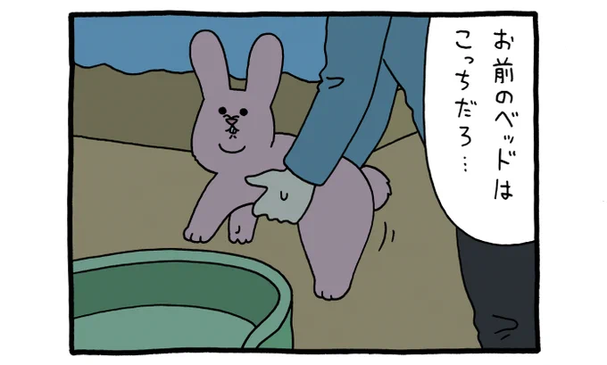 5コマ漫画スキウサギ「ベッド2」スキウサギ #キューライス 