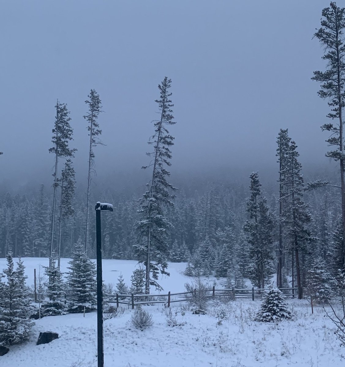 LSKinYYC's tweet photo. Yes, it’s beautiful.
It’s also April 23.
#EnoughWinter https://t.co/fZ49LvfWlR