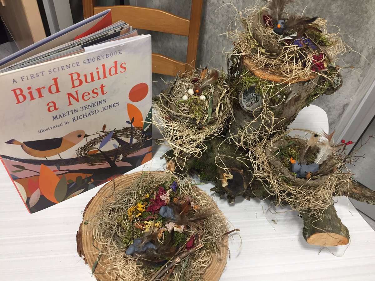 We so appreciate the amazing little homes birds build after building and drawing our own. <a href="/MaddaughSD36/">Maddaugh Elementary</a> <a href="/Surrey_Schools/">Surrey Schools</a> #naturelovers