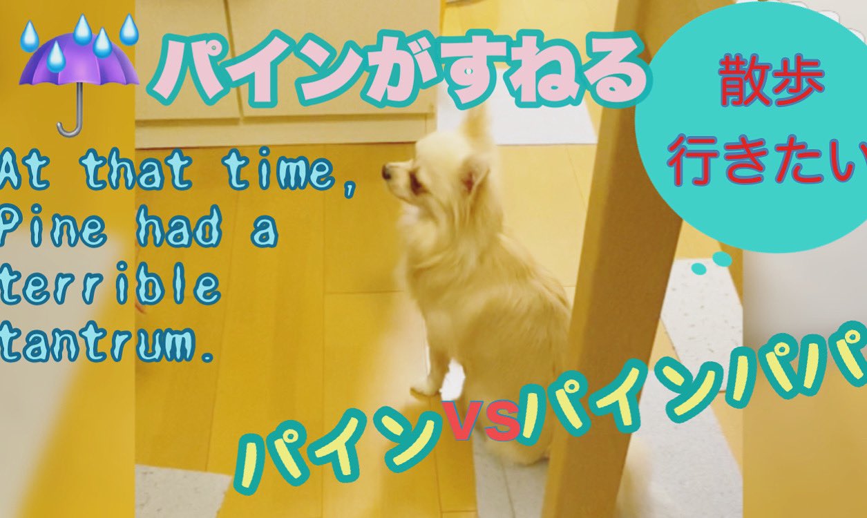 すねる Twitter Search Twitter