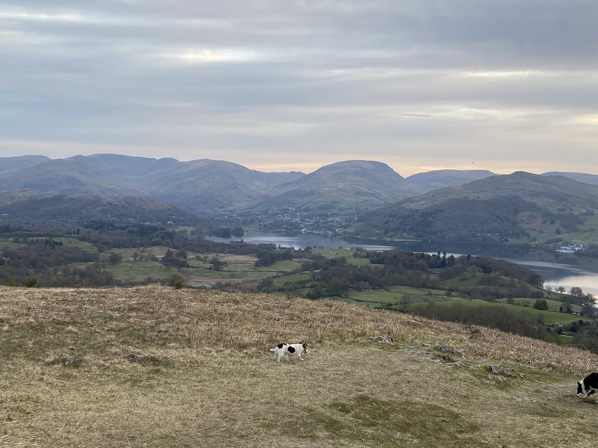 36clare's tweet photo. Dog walk this morning #walkfromhome #latterbarrow #claife #earlymorning #tockhowfarm #LakeDistrict https://t.co/qjcY5QNl6M